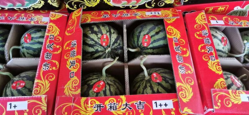 无籽美都西瓜，鲜甜可口，现采现摘，大量供应，