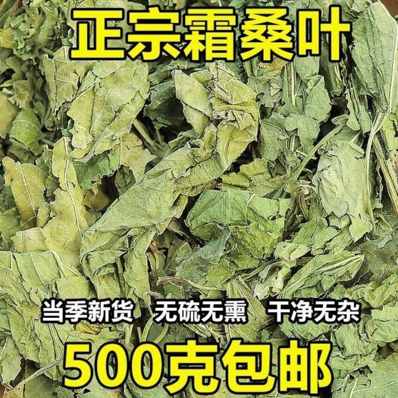 中药材桑叶霜桑叶纯桑叶茶正品霜桑叶霜桑叶茶包邮