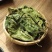 中药材桑叶霜桑叶纯桑叶茶正品霜桑叶霜桑叶茶包邮