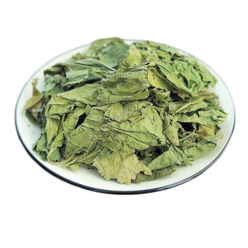中药材桑叶霜桑叶纯桑叶茶正品霜桑叶霜桑叶茶包邮