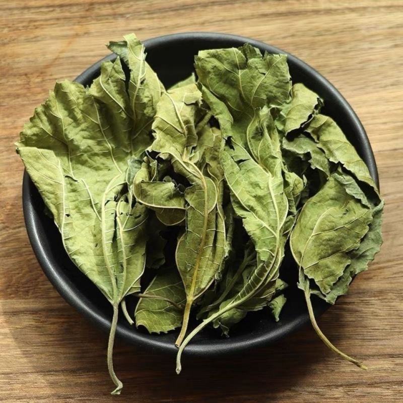 中药材桑叶霜桑叶纯桑叶茶正品霜桑叶霜桑叶茶包邮