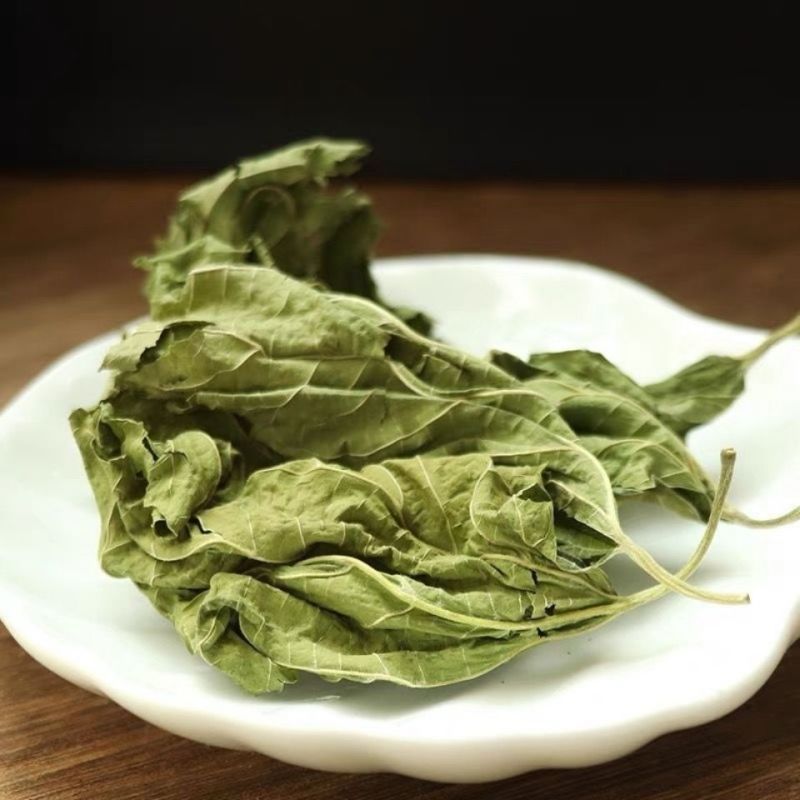 中药材桑叶霜桑叶纯桑叶茶正品霜桑叶霜桑叶茶包邮