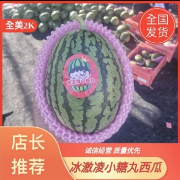2k冰淇淋小糖丸西瓜大红瓤黑籽小薄皮糖度高