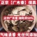 广木香无硫缅甸广木香中药材无硫精选木香中草药广木香进口木