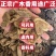广木香无硫缅甸广木香中药材无硫精选木香中草药广木香进口木