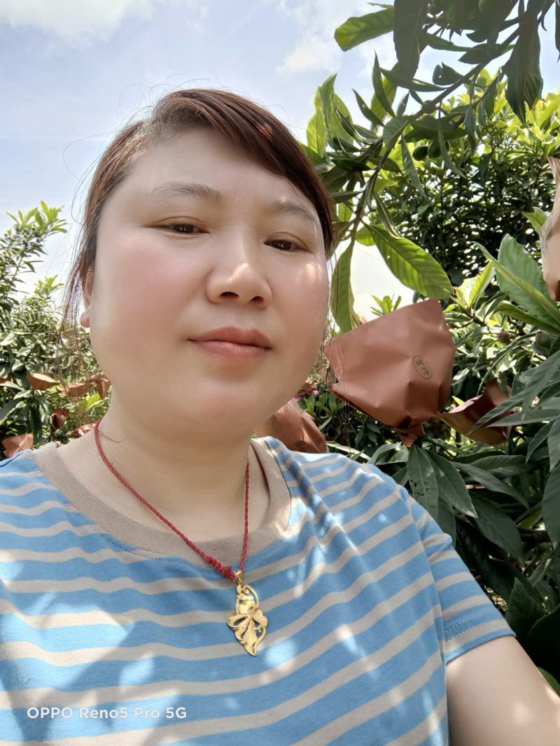 白沙枇杷中的白荔枝
