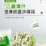 五蔬沙琪玛批发多种维生素