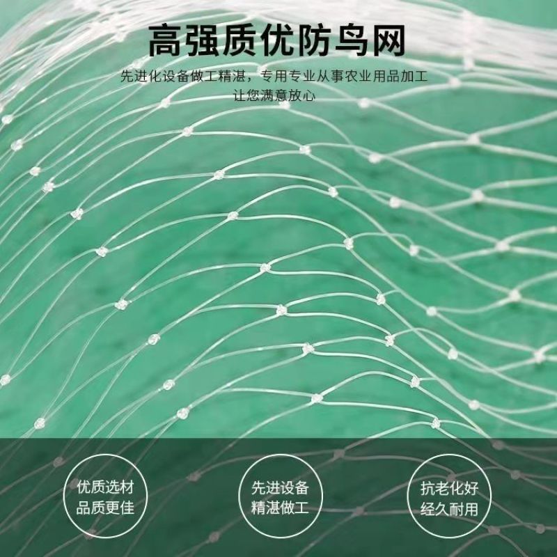 尼龙防鸟网全新料增强抗老化农用果园农田鱼塘养殖大棚种养殖