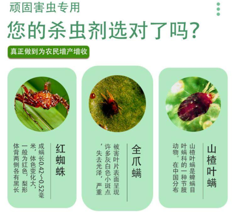 中化宝越螺螨酯乙唑螨腈红蜘蛛茶黄螨叶螨杀虫杀卵杀螨剂