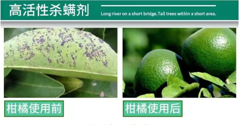 中化宝越螺螨酯乙唑螨腈红蜘蛛茶黄螨叶螨杀虫杀卵杀螨剂