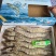 喜隽黑虎虾550g方箱6盒装经典款全规格
