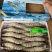 喜隽黑虎虾550g方箱6盒装经典款全规格