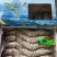 喜隽黑虎虾550g方箱6盒装经典款全规格