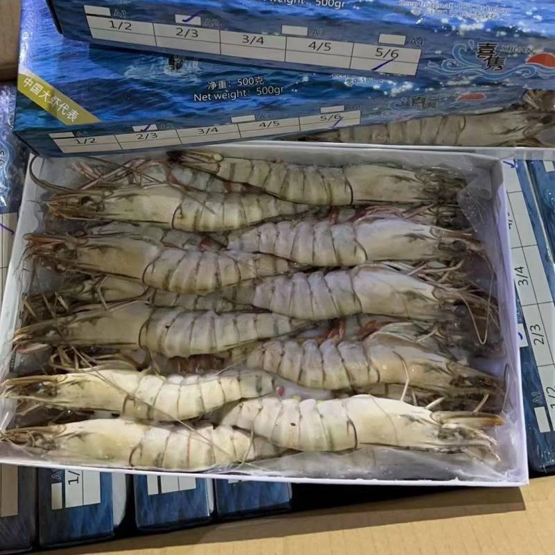 喜隽黑虎虾,450g10盒装20条