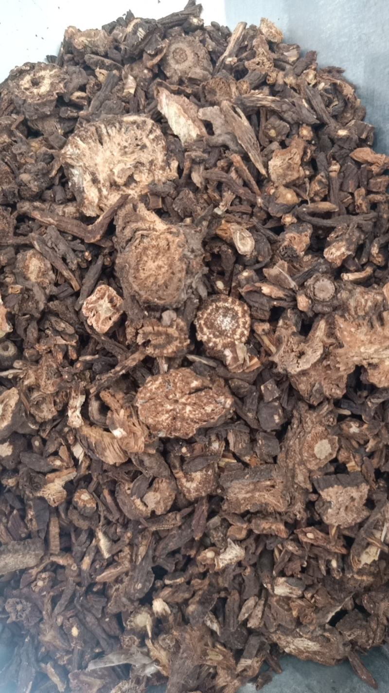 羌活羌活各种中药材批发质量保证