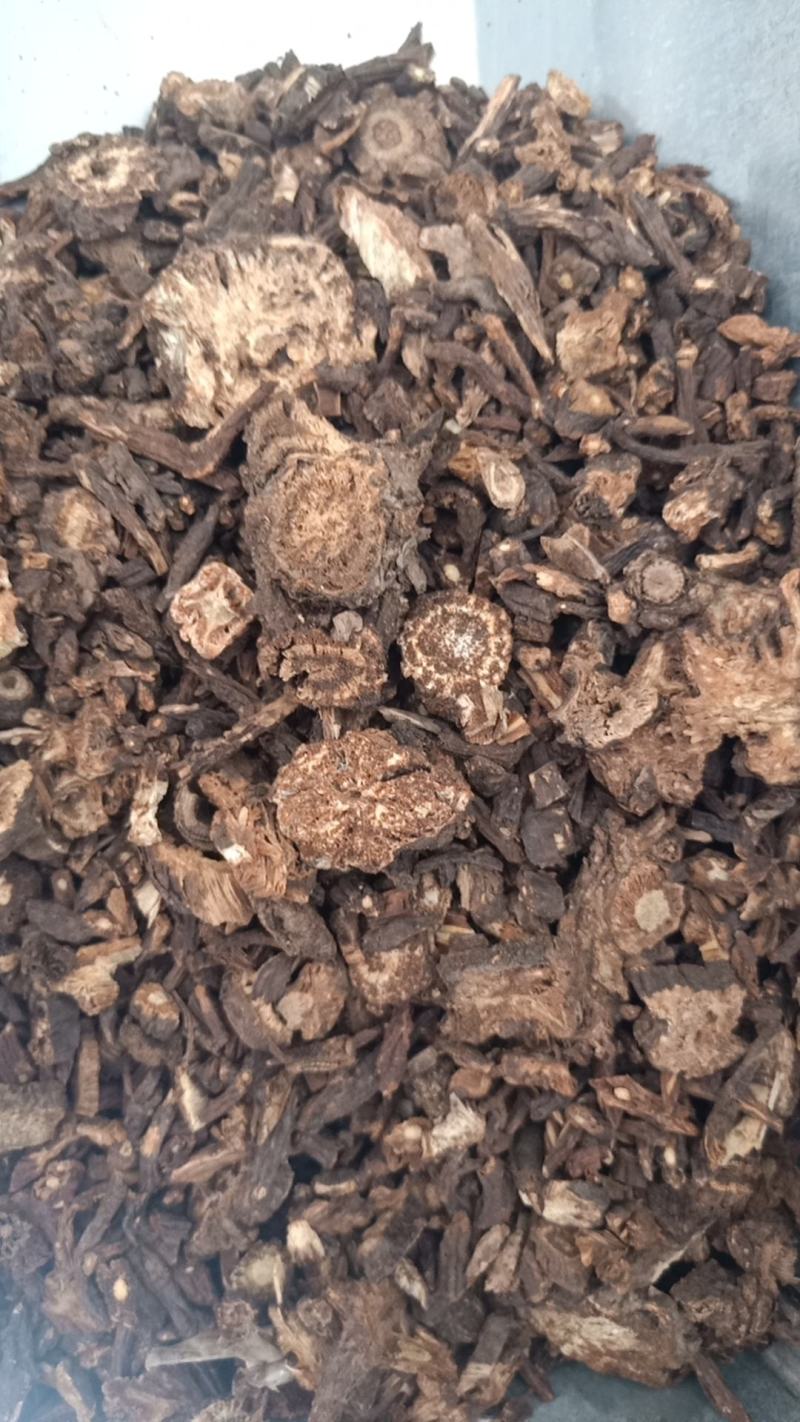羌活羌活各种中药材批发质量保证