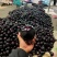 【精选】精品圆茄，紫光圆茄，大量供应，产地直发，品质保证