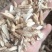 牛大力干片碎片大量现货产地直销