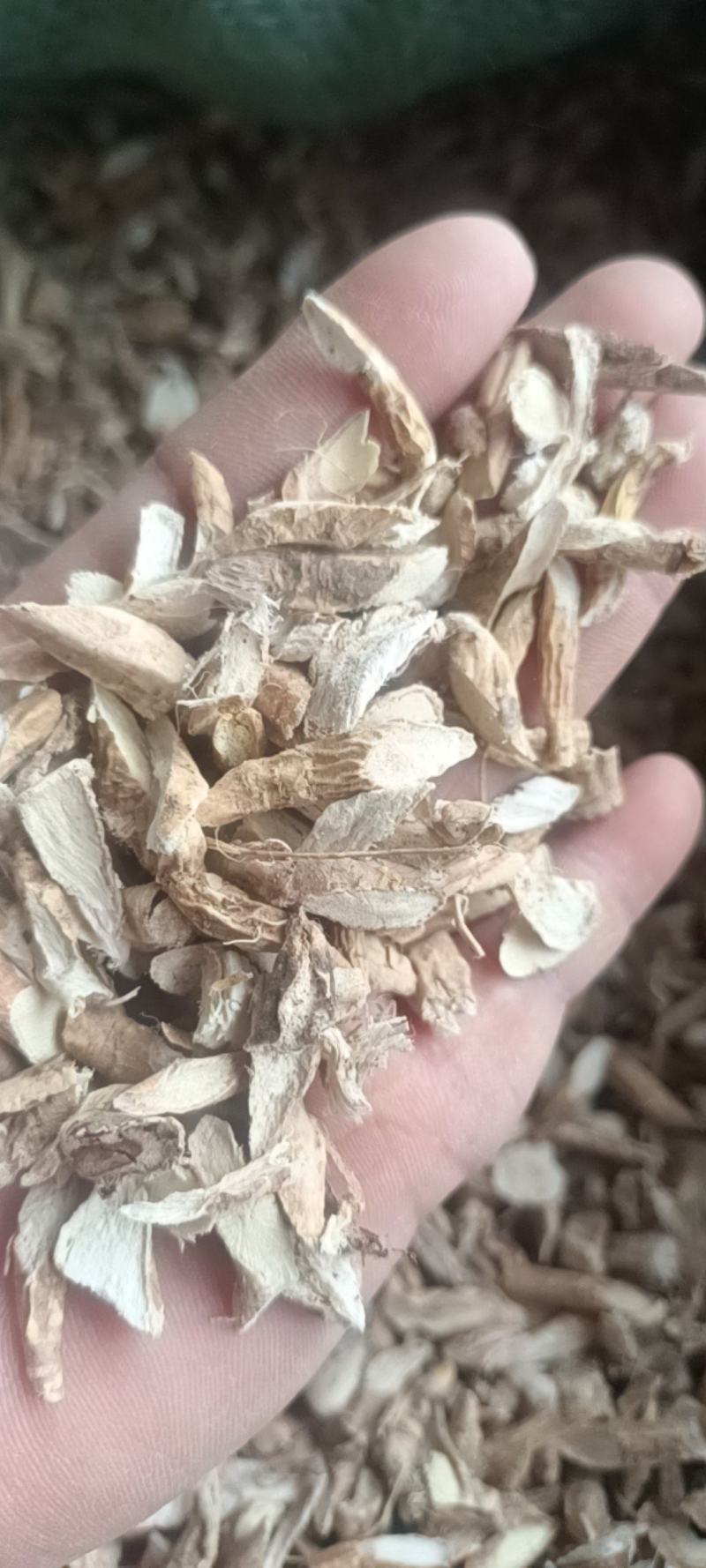 牛大力干片碎片大量现货产地直销