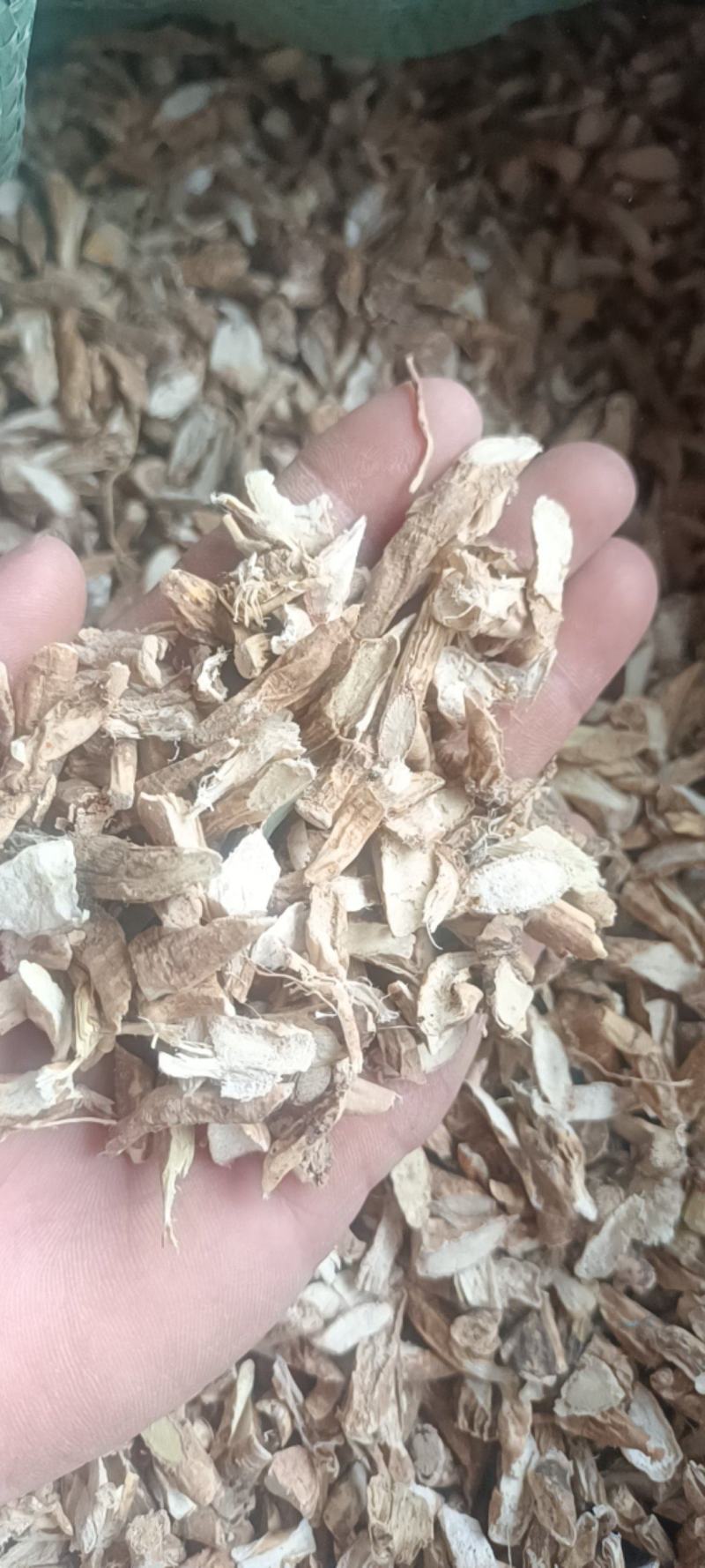牛大力干片碎片大量现货产地直销