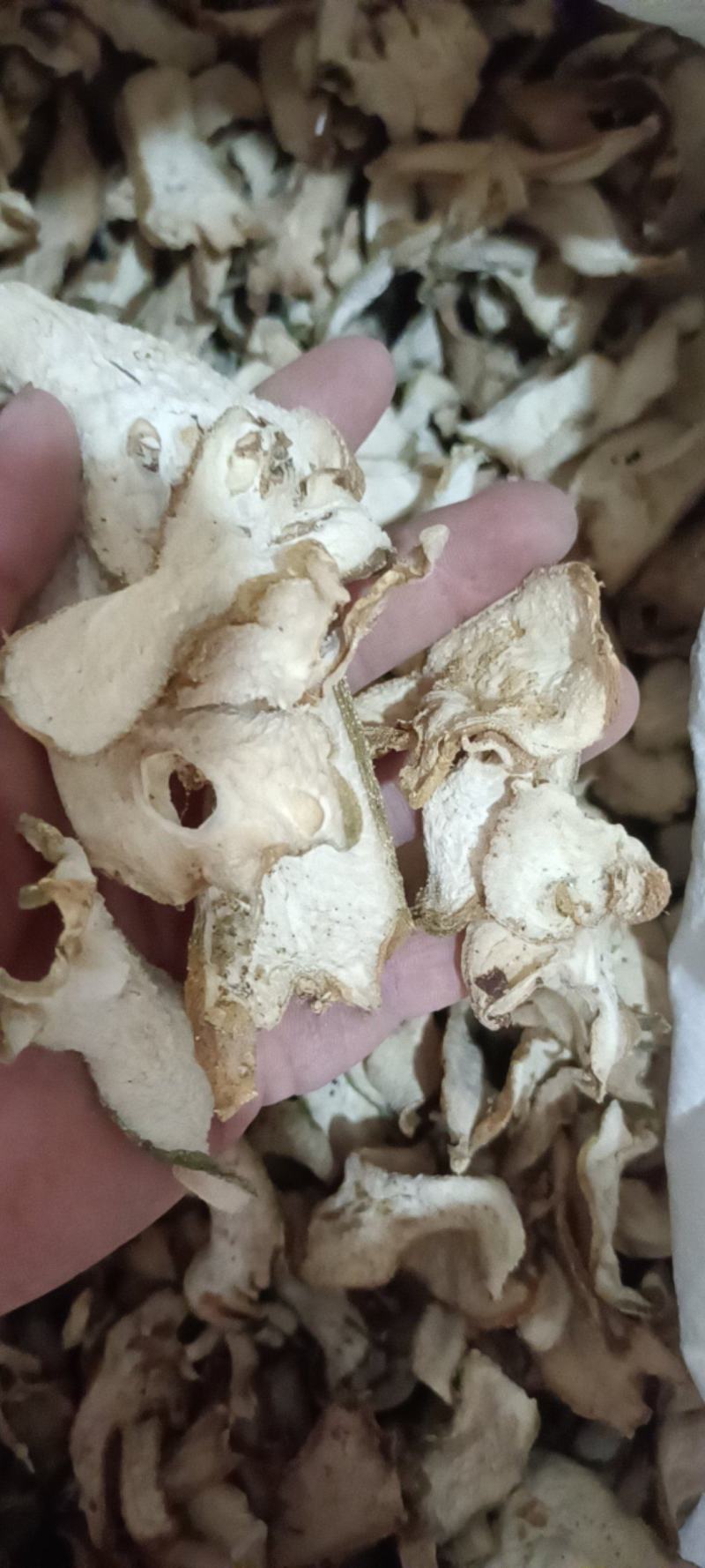 佛手干片无硫自然晒干无任何添加剂一手货源