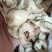 佛手干片无硫自然晒干无任何添加剂一手货源