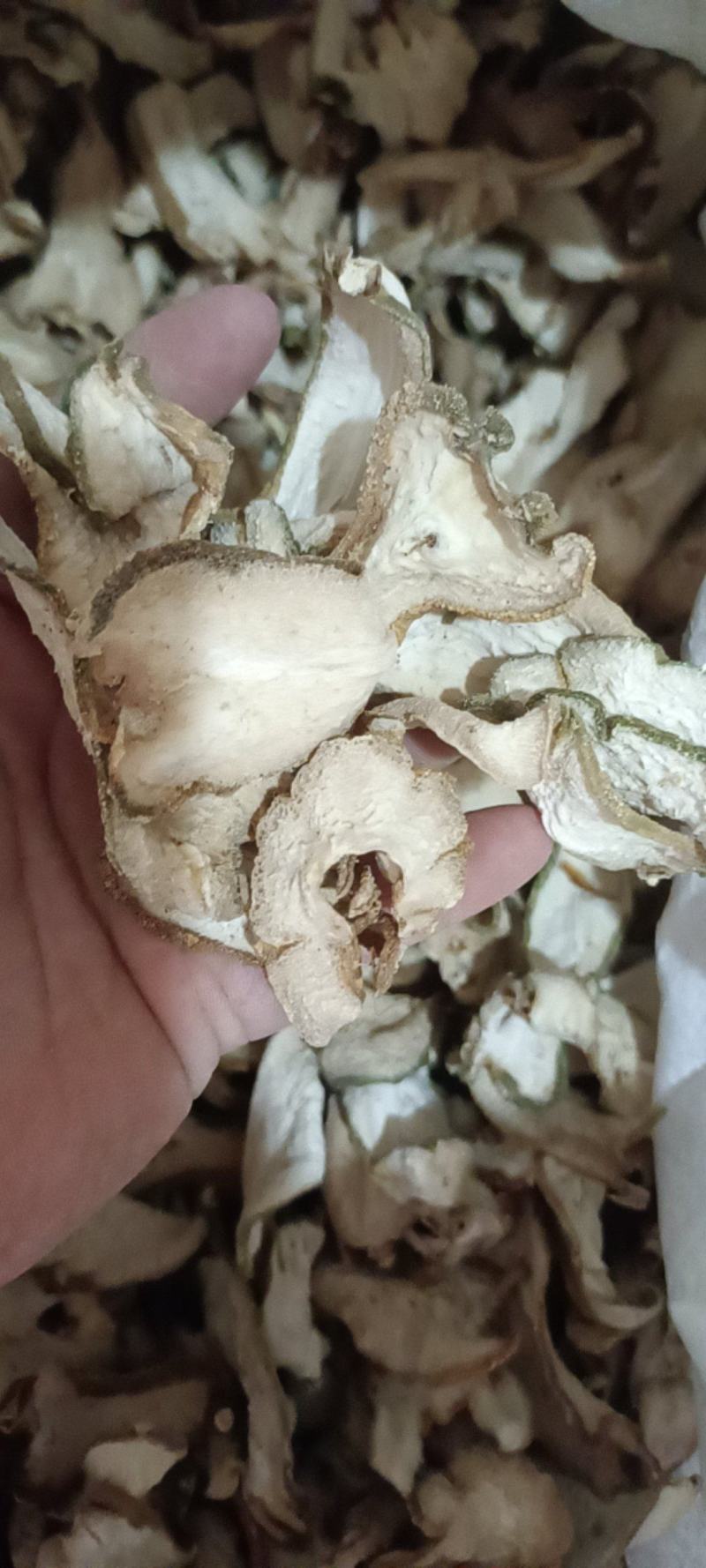 佛手干片无硫自然晒干无任何添加剂一手货源