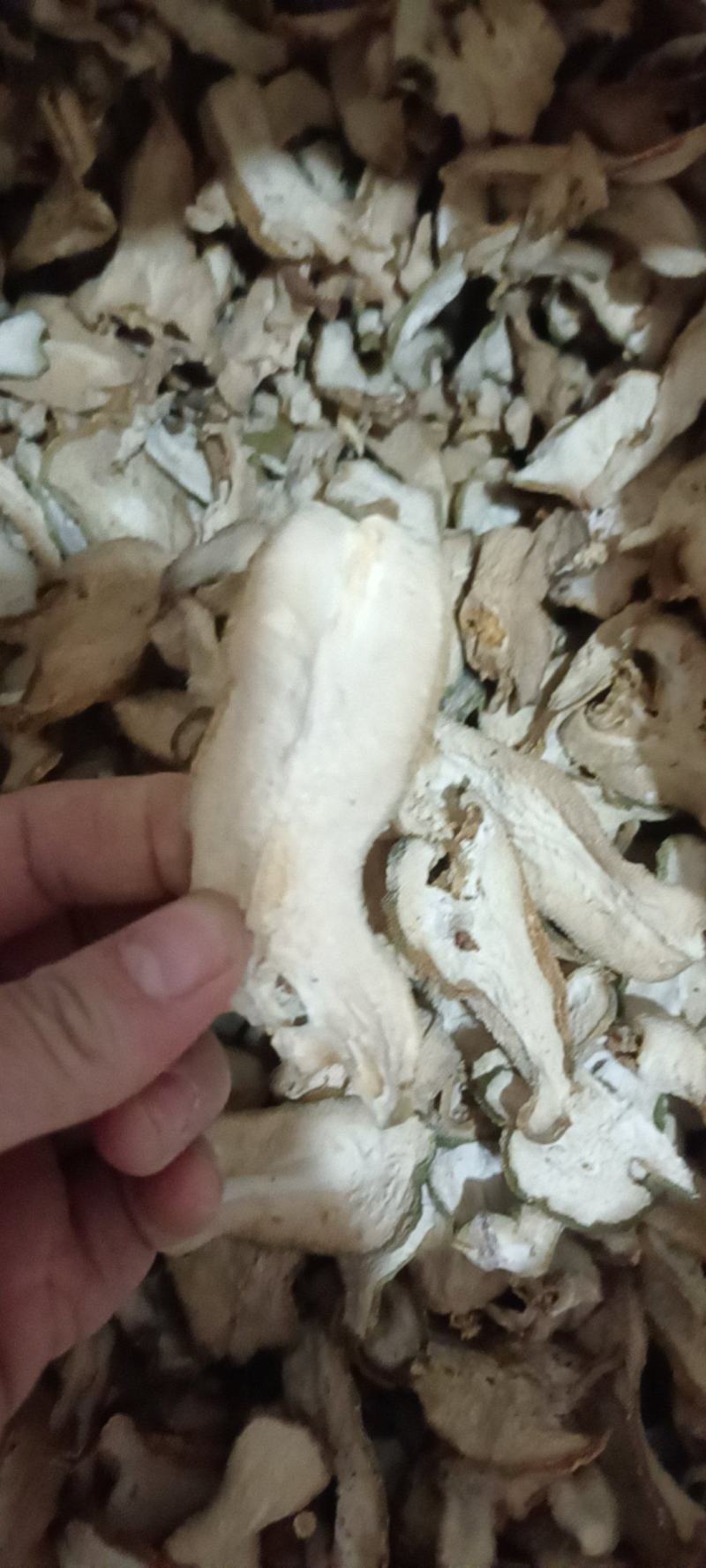 佛手干片无硫自然晒干无任何添加剂一手货源