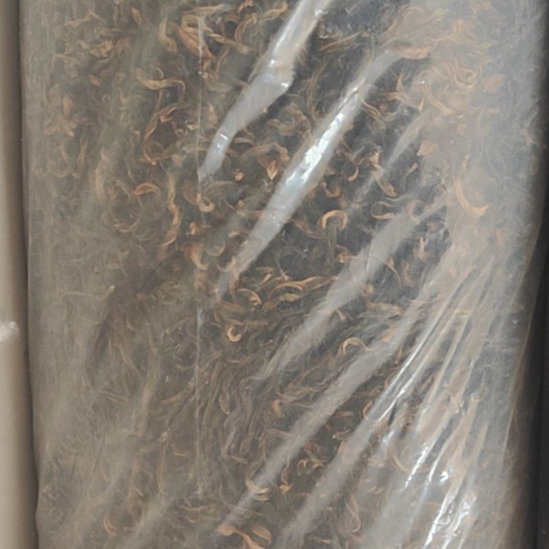 干豆角