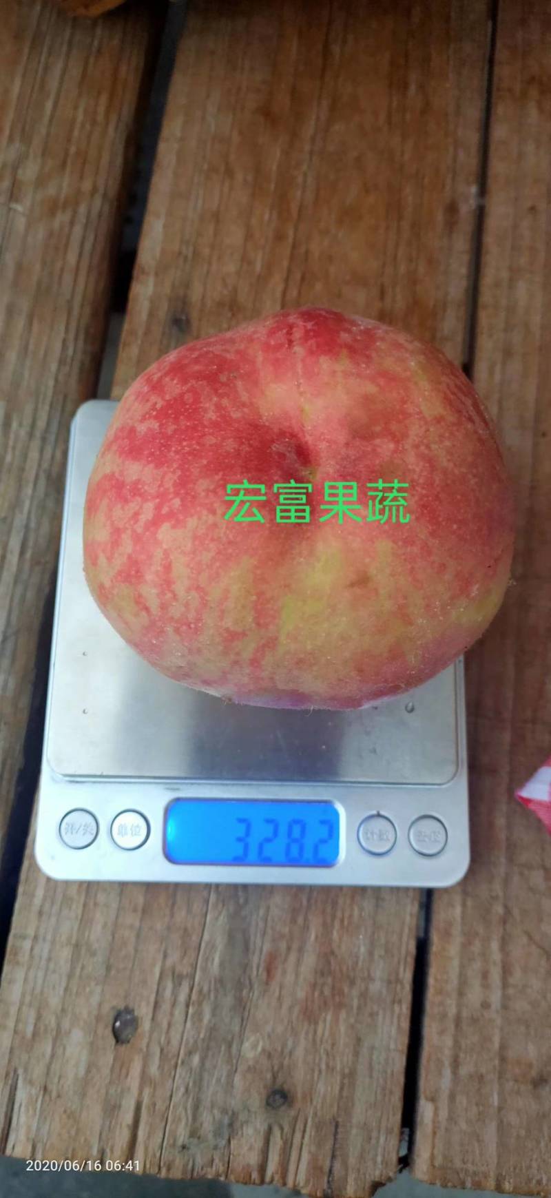 陕西毛桃突围桃夏红北京7号千亩货源量大从优