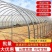 新式农用温室大棚养殖大棚冬暖夏凉养殖羊牛棚造价低