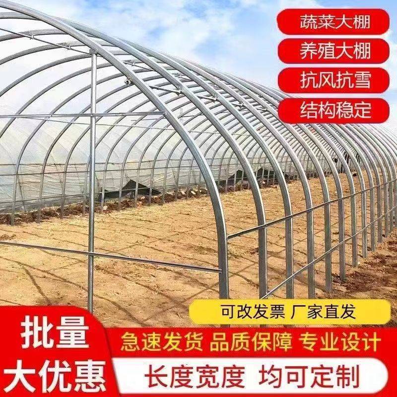 新式农用温室大棚养殖大棚冬暖夏凉养殖羊牛棚造价低