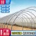 新式农用温室大棚养殖大棚冬暖夏凉养殖羊牛棚造价低