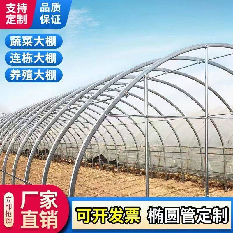 新式农用温室大棚养殖大棚冬暖夏凉养殖羊牛棚造价低