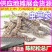 批发地参干货煲汤料泡酒料粗条虫草参跑江湖地摊展销会散装