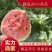 2K糖丸小吊瓜，皮毛好，糖度高。代发全国。