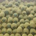 2K糖丸小吊瓜，皮毛好，糖度高。代发全国。