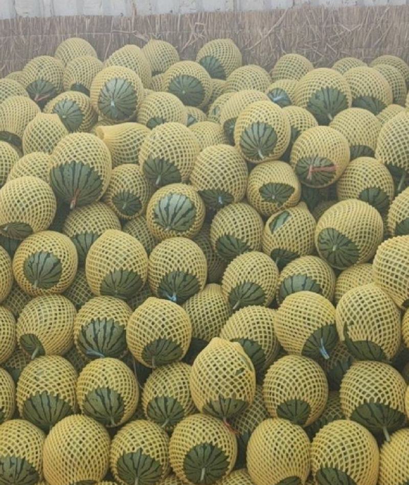 2K糖丸小吊瓜，皮毛好，糖度高。代发全国。