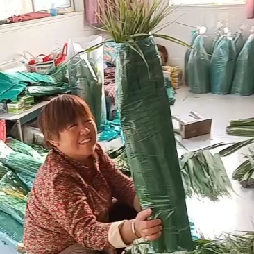 安徽苇叶，宽大长，无虫柔软，价格合适