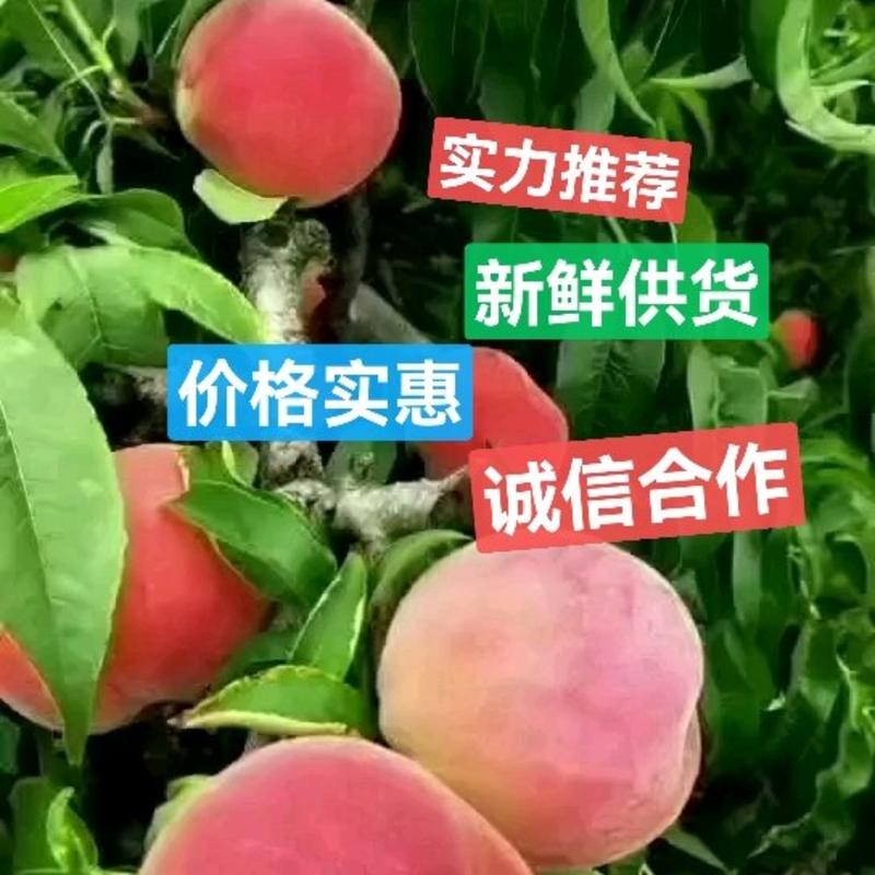 热荬电商团购油桃红桃油桃突围桃支持电商社团整车发货