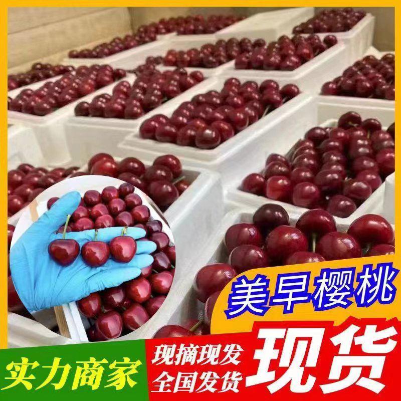 【现摘现发】美早樱桃品种齐全坏果包赔一手货源代发全国