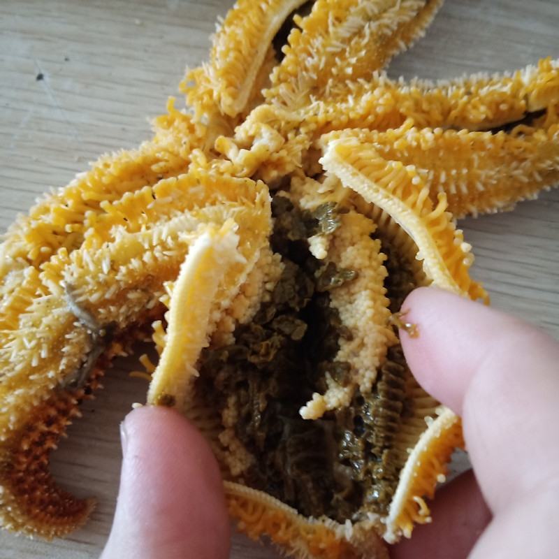 海星海五星海盘车海星干货正品煲汤泡酒