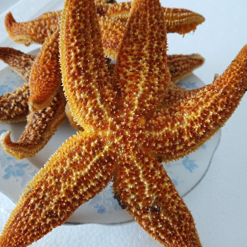 海星海五星海盘车海星干货正品煲汤泡酒