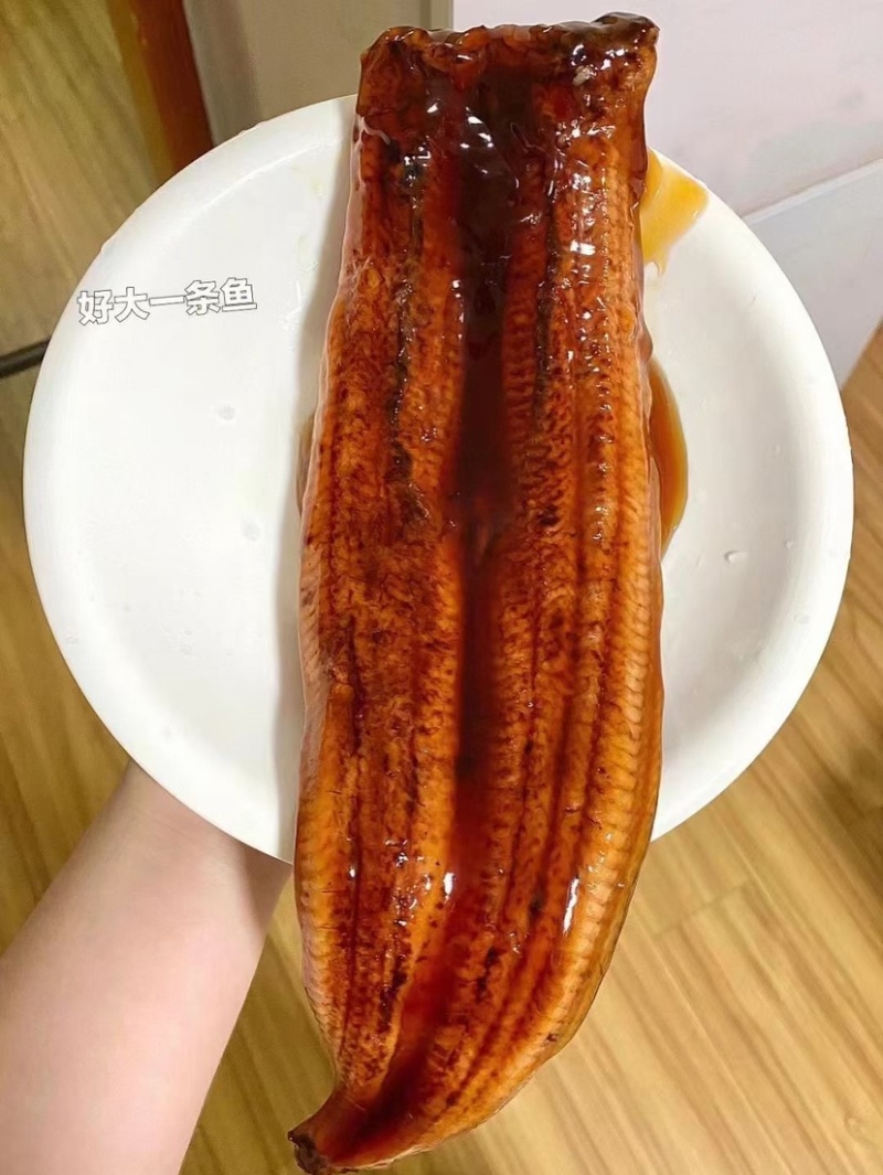 烤鳗鱼海鳗鱼日料店日式蒲烧烤鳗加热即食预制菜