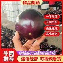 【精选】精品圆茄，紫光圆茄，大量供应，产地直发，品质保证