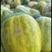 【推荐】沧州花蕾甜瓜现在大量上市，欢迎全国采购商来电咨询