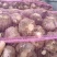 陕西大荔2026年精品鲜蒜红蒜大量上市全国发货