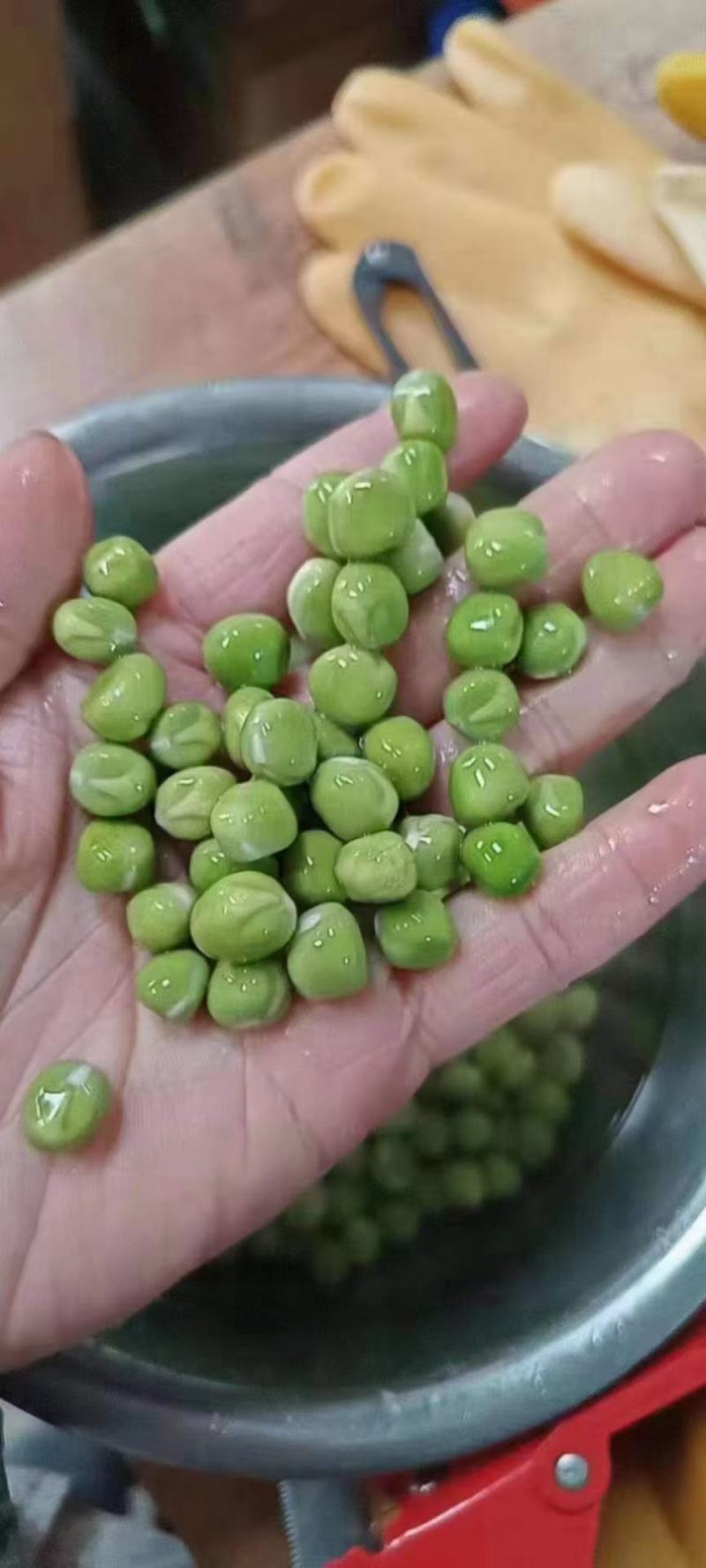 干豌豆，干青豌豆，青豌豆，豌豆，重庆干青豌豆，西安干青豌