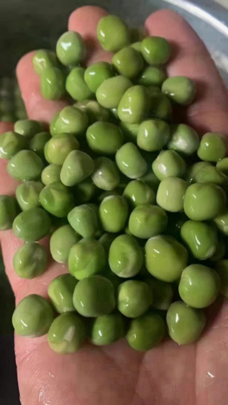 干豌豆，干青豌豆，青豌豆，豌豆，重庆干青豌豆，西安干青豌