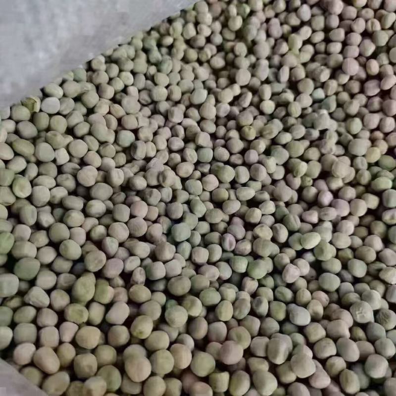 干豌豆，干青豌豆，青豌豆，豌豆，重庆干青豌豆，西安干青豌